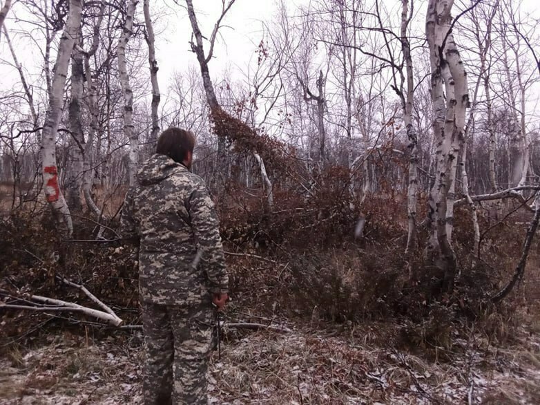 Инспекторы на Камчатке за период майских выходных выявили ряд нарушений в лесах