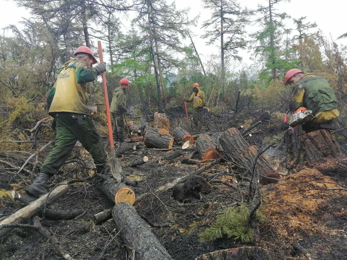 С начала пожароопасного сезона на Камчатке не зарегистрировано лесных пожаров