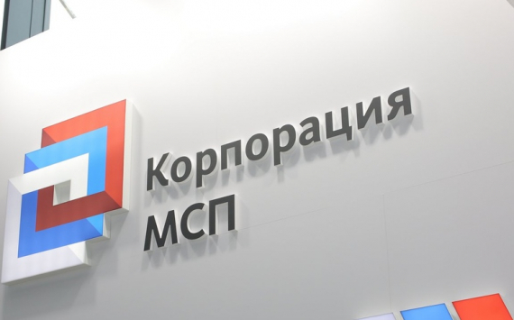 Малый и средний бизнес за счет поручительств привлек 527 млрд рублей финансирования