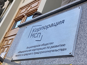 Почти 208 млрд рублей привлекли МСП за счет «зонтичных» поручительств Корпорации МСП за первое полугодие