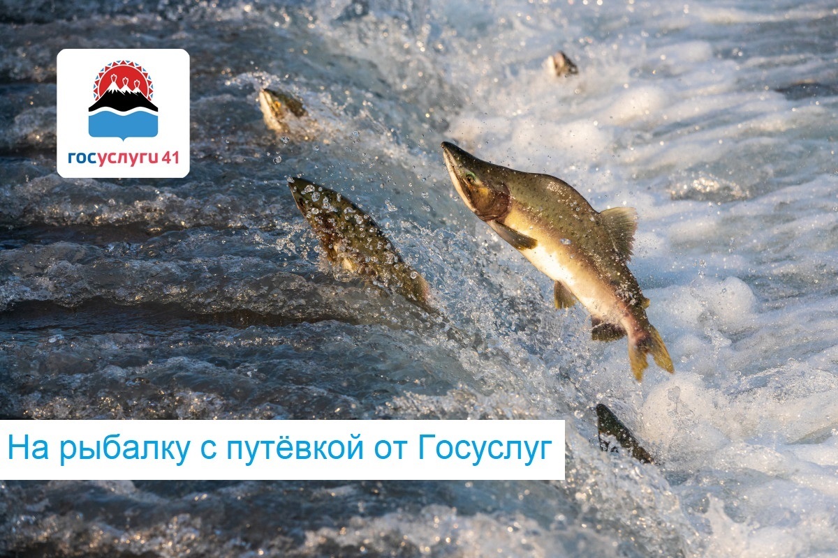 В Камчатском крае стартует новый сезон любительского рыболовства