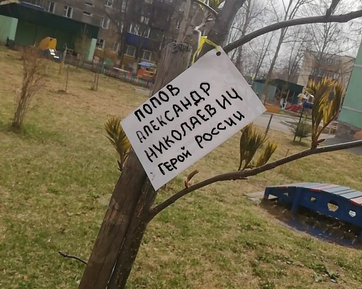 В Камчатском крае стартовала международная акция «Сад памяти»